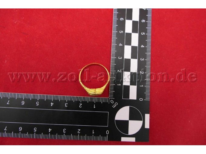 Detailaufnahme des Rings mit Maßstab