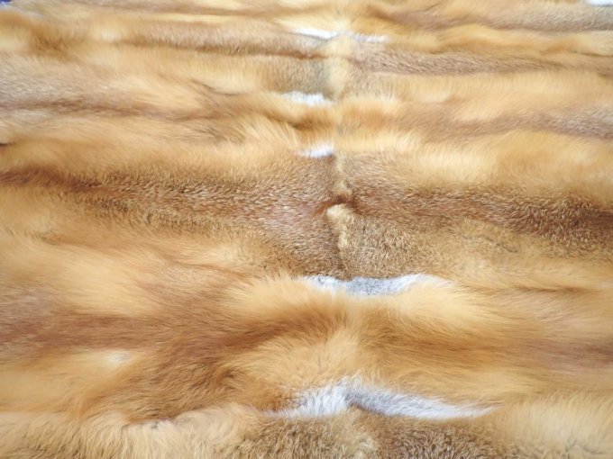 Oberfläche der Rotfuchs-Decke