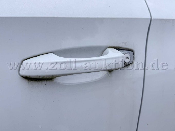 Detailansicht - Fahrertüre