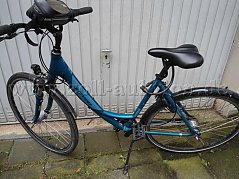 Stevens Citybike