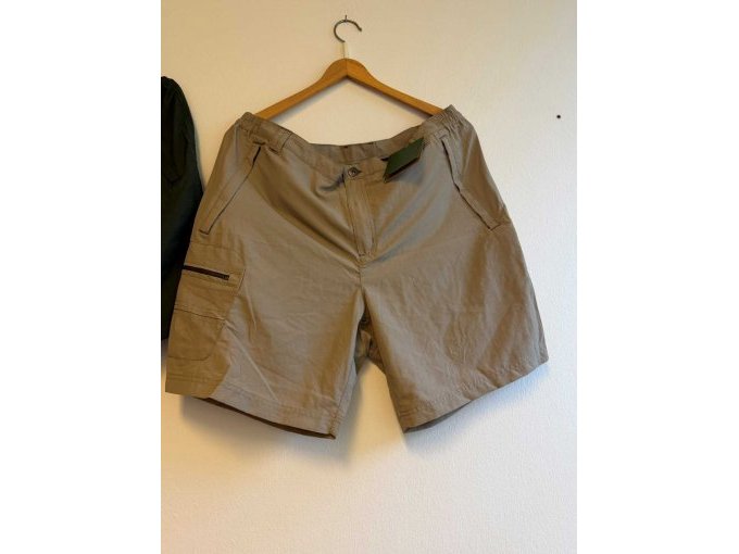 beige shorts von vorne