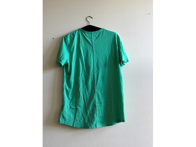 grünes Shirt Tommy von hinten