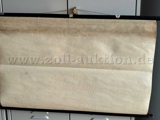 Schulwandkarte Auge und Ohr Rückseite