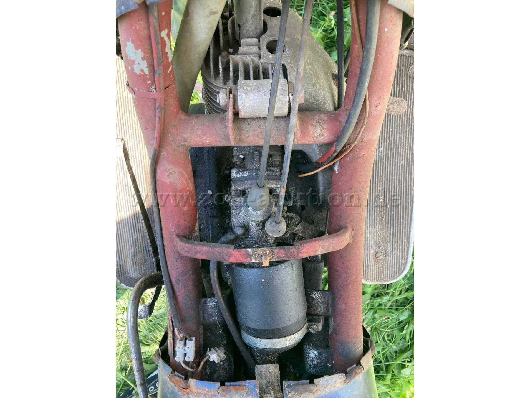 Motor