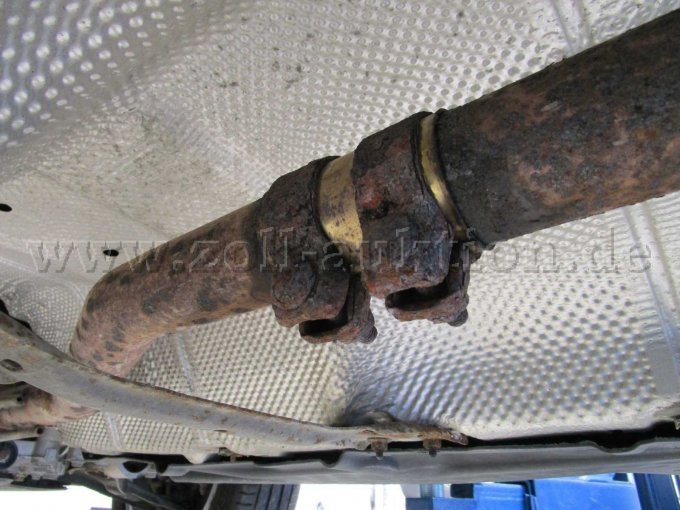 Agasanalge Korrosion 1