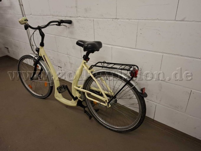 Senioren Fahrrad Ansicht hinten links