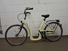 Senioren Fahrrad Ansicht seitlich links