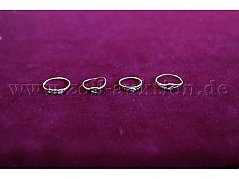 alle vier Ringe von vorne
