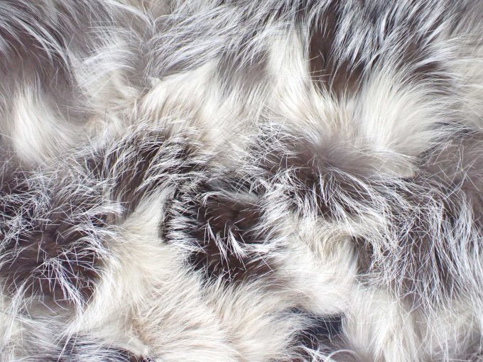 Blick auf die Oberfläche der Silberfuchs / Blaufuchsdecke