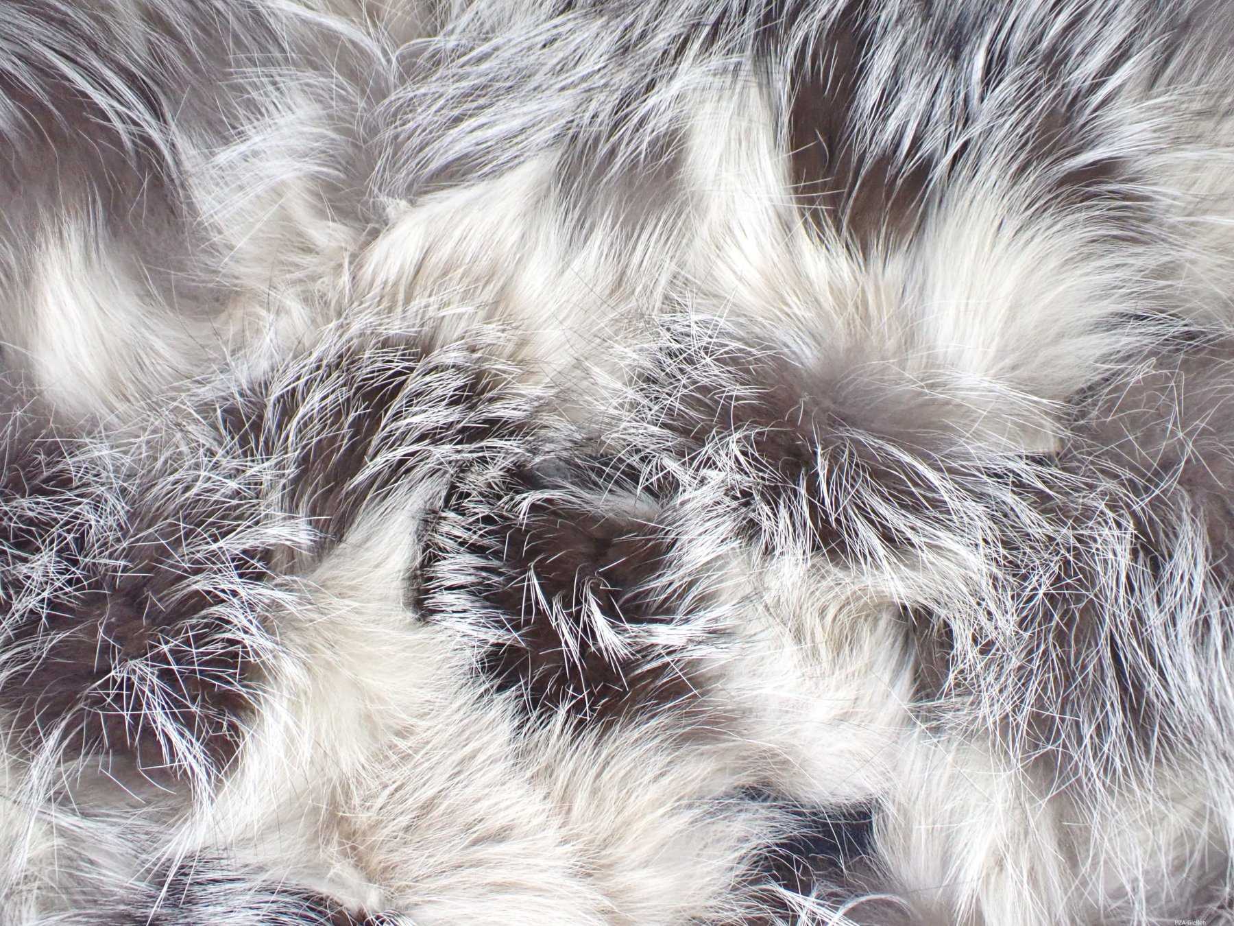 Blick auf die Oberfläche der Silberfuchs / Blaufuchsdecke