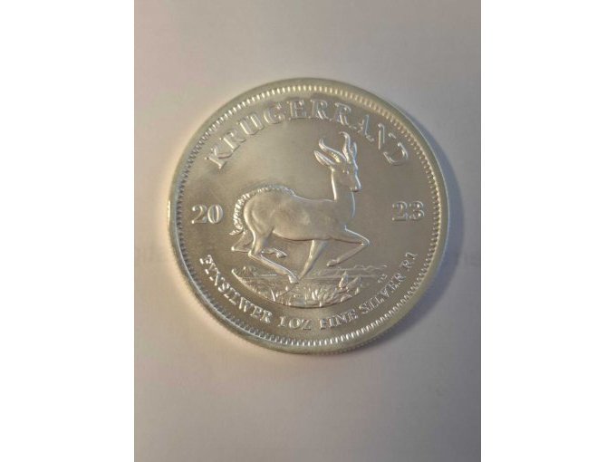 Beispielfoto Ansicht Springbock (1)