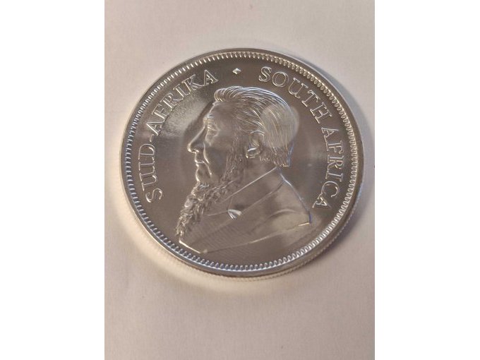 Beispielfoto Ansicht Paul Kruger (3)