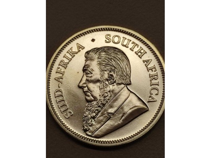 Beispielfoto Ansicht Paul Kruger (1) Beispielfoto Ansicht Paul Kruger (1)