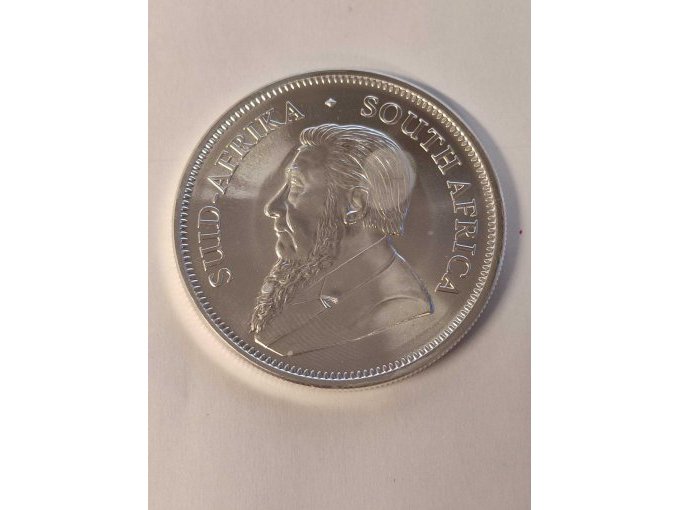 Beispielfoto Ansicht Paul Kruger (2)