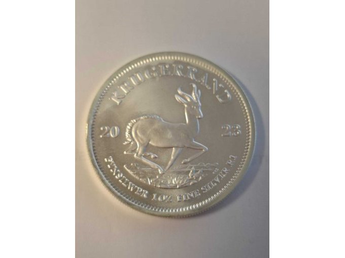 Beispielfoto Ansicht Springbock (2)