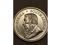 Beispielfoto Ansicht Paul Kruger (1)