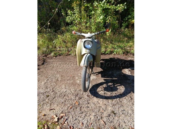 Schwalbe von vorne