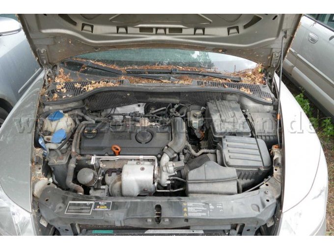 Motor