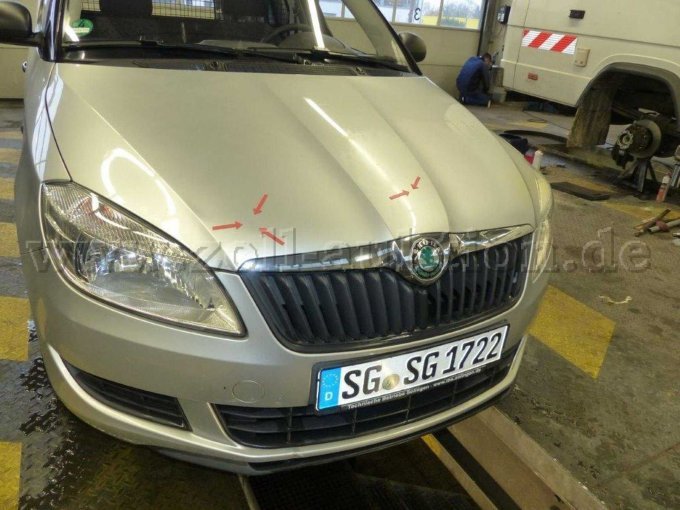 Lackschäden Motorhaube