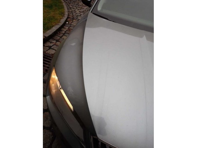 Beschädigungen Frontbereich