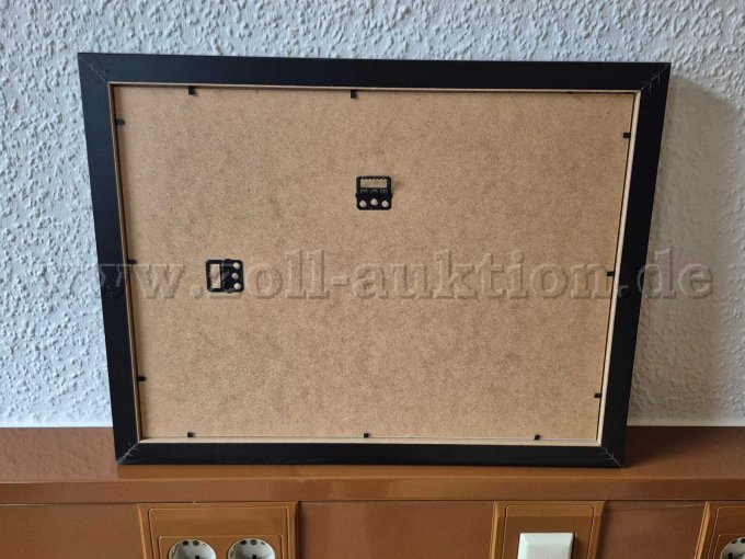 1 Skyylof - Afbeelding / kunstwerk van Steve McQueen met de dollar – foto 4 – kavel bij Zoll-Auktion, Hagen