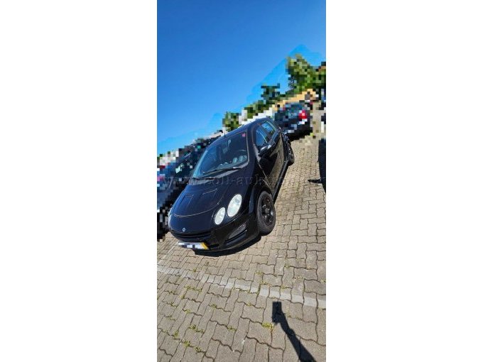 Frontansicht Fahrerseite