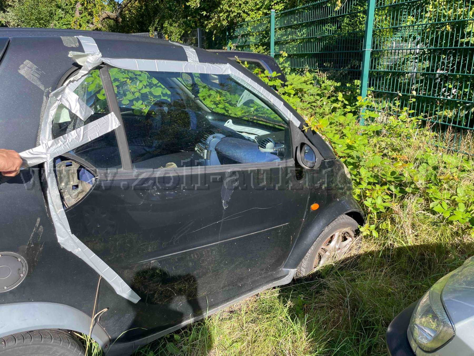 Smart - Seitenansicht recht, Tür