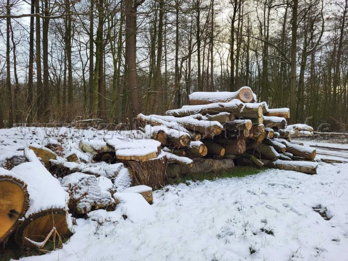 Gesamtübersicht Polter