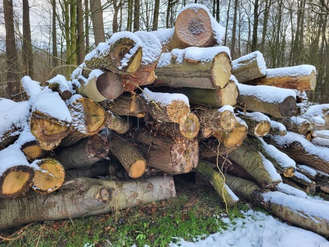 Ansicht linker Bereich