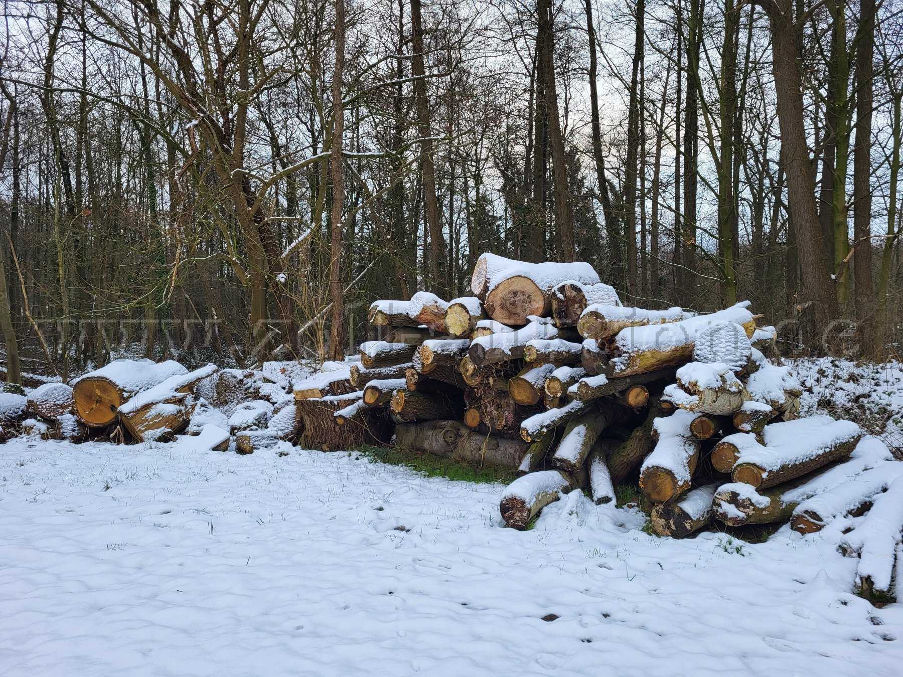 Gesamtübersicht Polter