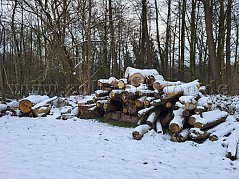 Gesamtübersicht Polter