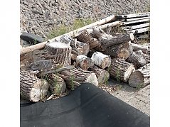Holz1