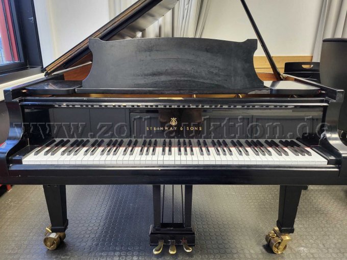 Flügelansicht vorne mit offenem Deckel