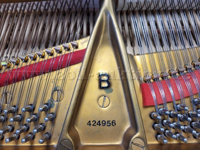 Seriennummer
424956