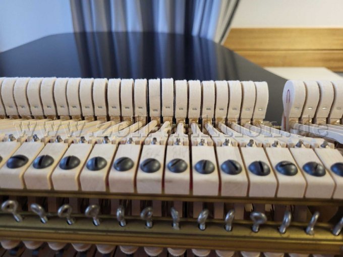 Ansicht Hammerköpfe