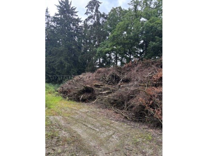 Haufwerk Badendorf
Seitenansicht 2