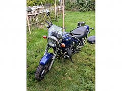 Suzuki von vorne links