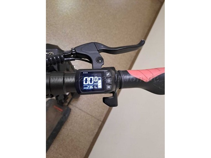 Display mit Kilometerstand