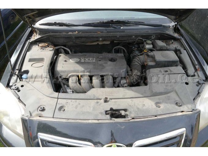 Motor