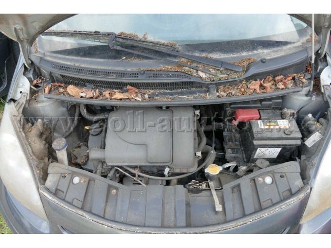 Motor