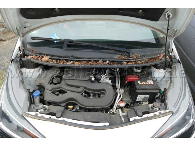 Motor