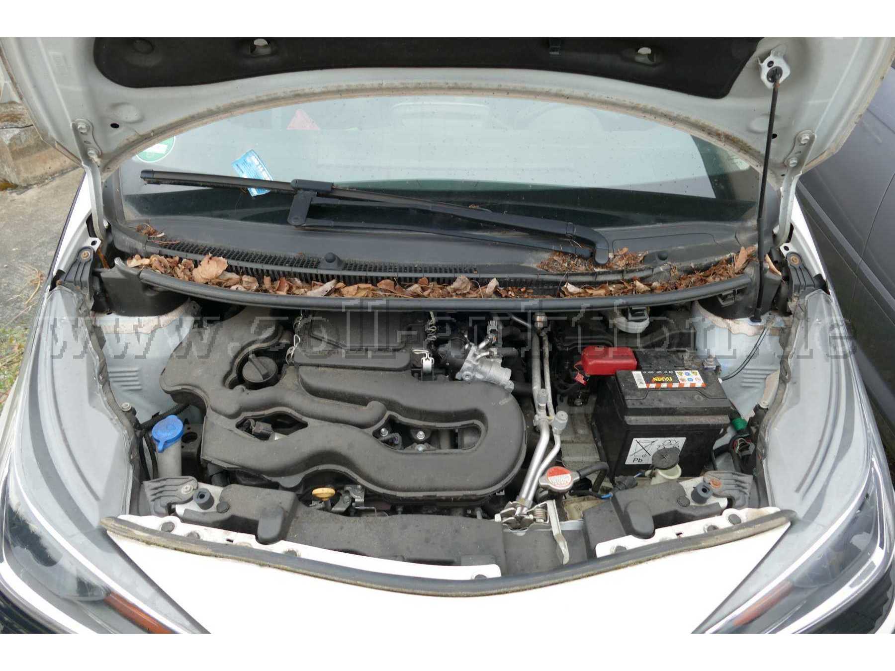 Motor