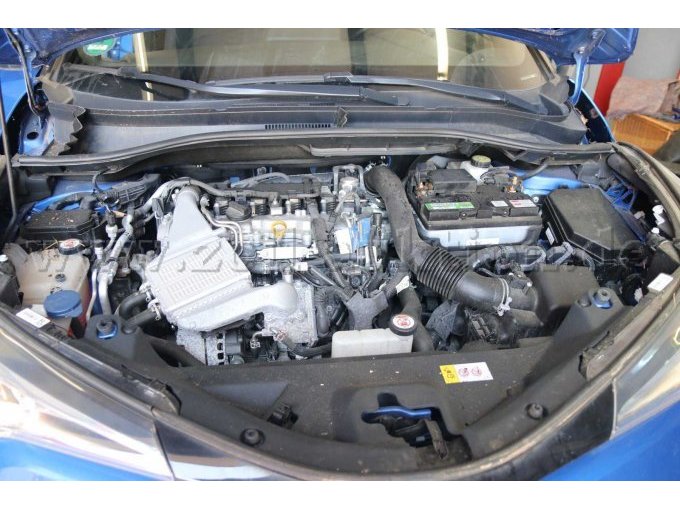 Motor