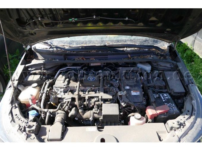 Motor