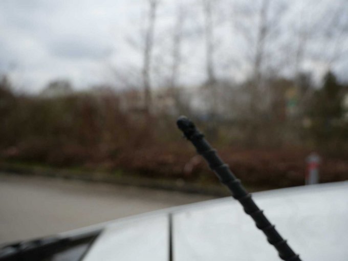Antenne zerbissen