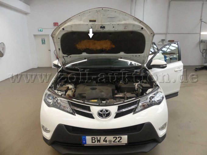 Beschädigung Motorhauben-Verkleidung