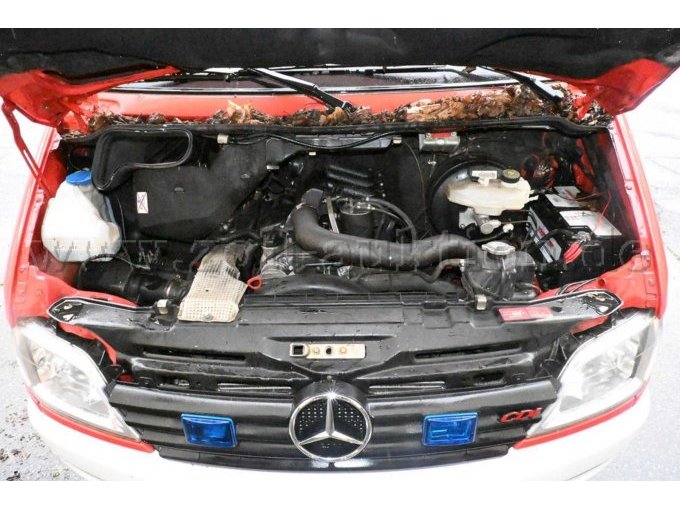 Bild 18 - Motorraum
