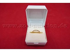 Gesamtansicht der Auktion