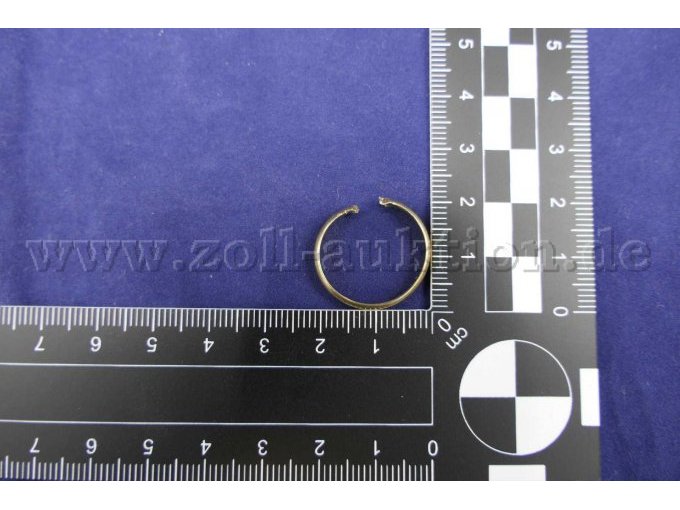 Ring mit Maßstab