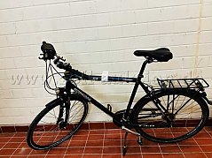 Trekkingrad Morrison T 2.0